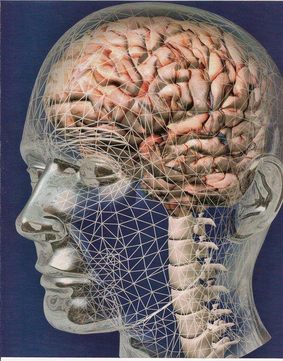 Leído para Ud.: “Las neuronas de Dios. Una neurociencia de la religión, la espiritualidad y la luz al final del túnel”. Por el Dr. Jordán Abud (3-3)