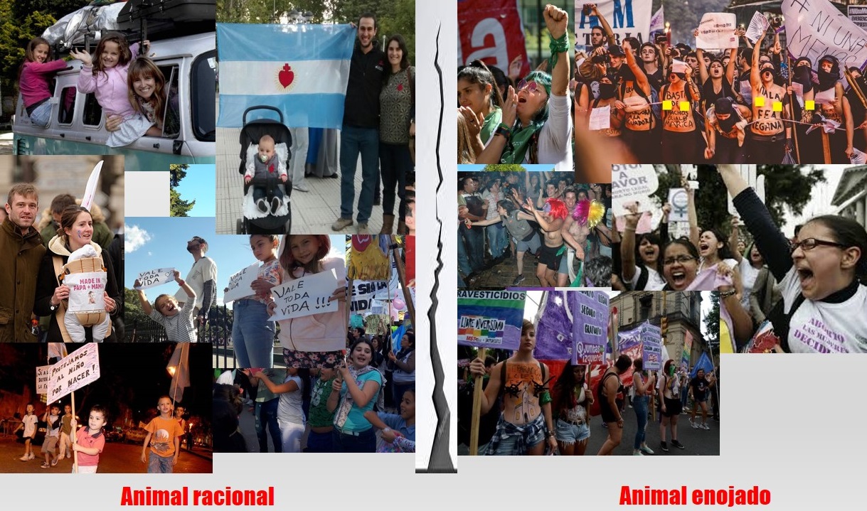 La foto que habla: marcha por la vida y marcha izquierdista