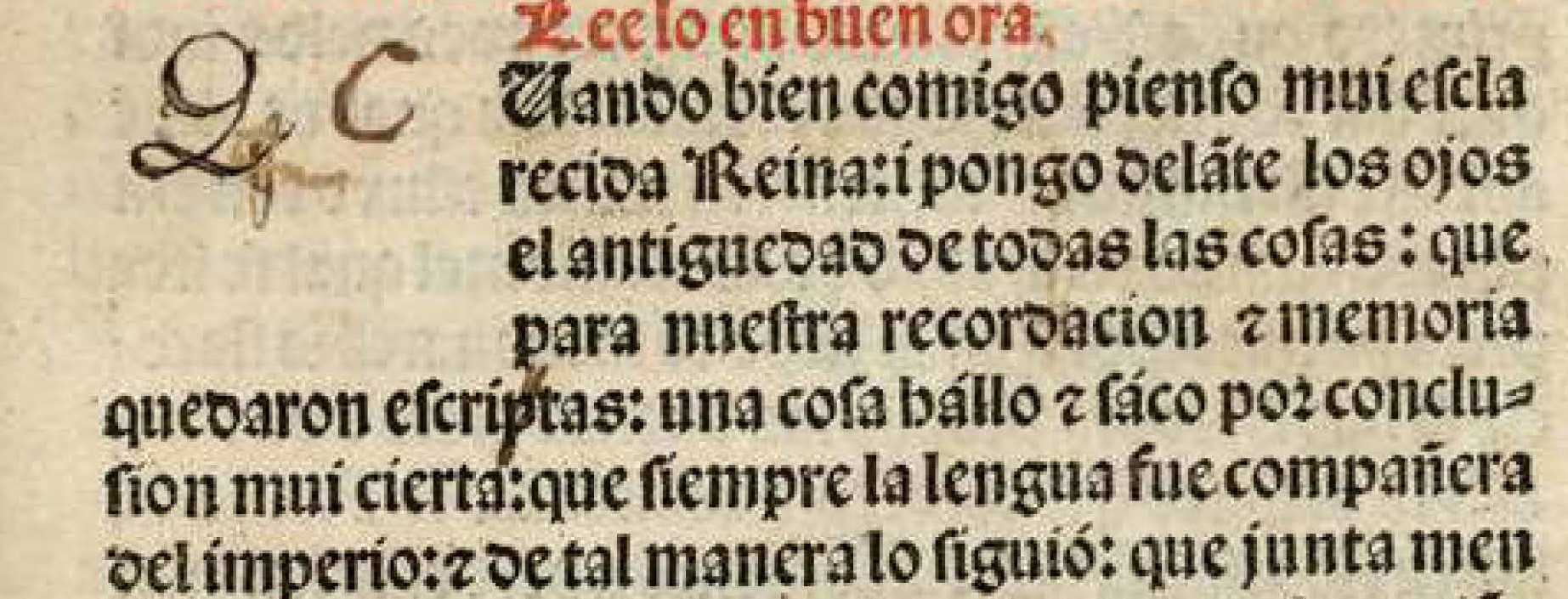 Lenguaje inclusivo y disparatado