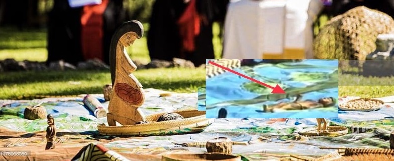 San José de Anchieta y los “viri probati” del Amazonia