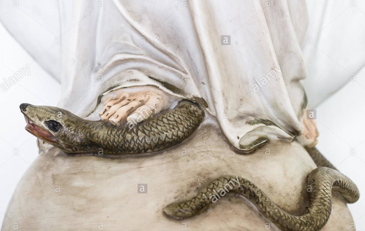 La Inmaculada, el hombre y la mujer. ¿Cómo afectó el pecado a cada uno?. Sermón