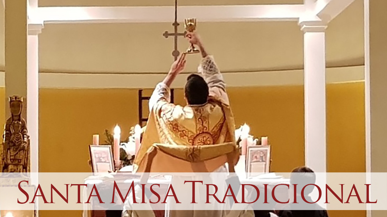 Misa Domingo de Ramos por internet (10.30 hs., hora argentina)