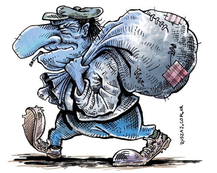 Relatos de cuarentena salvaje