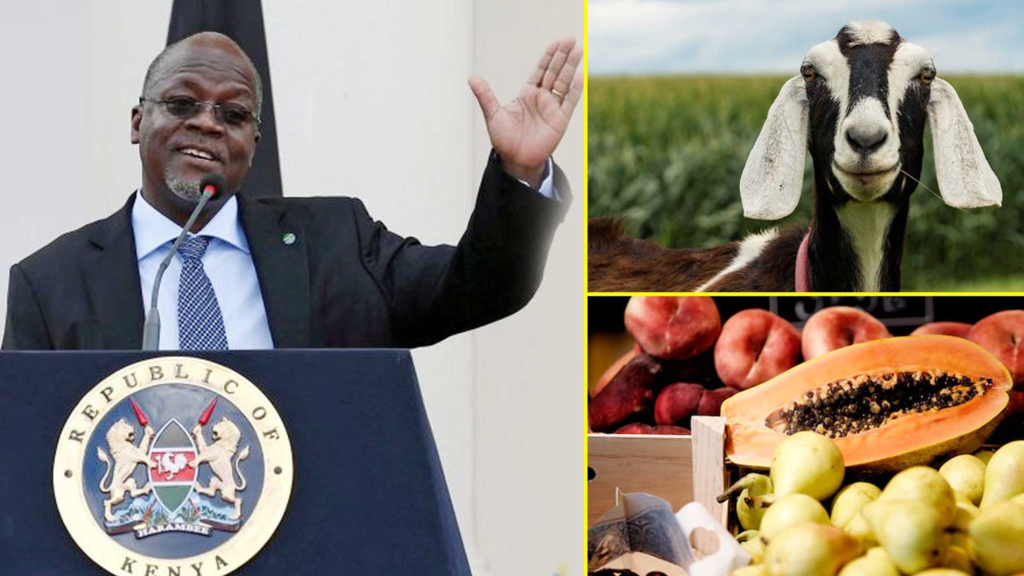 Presidente de Tanzania y coronavirus; algo huele mal…