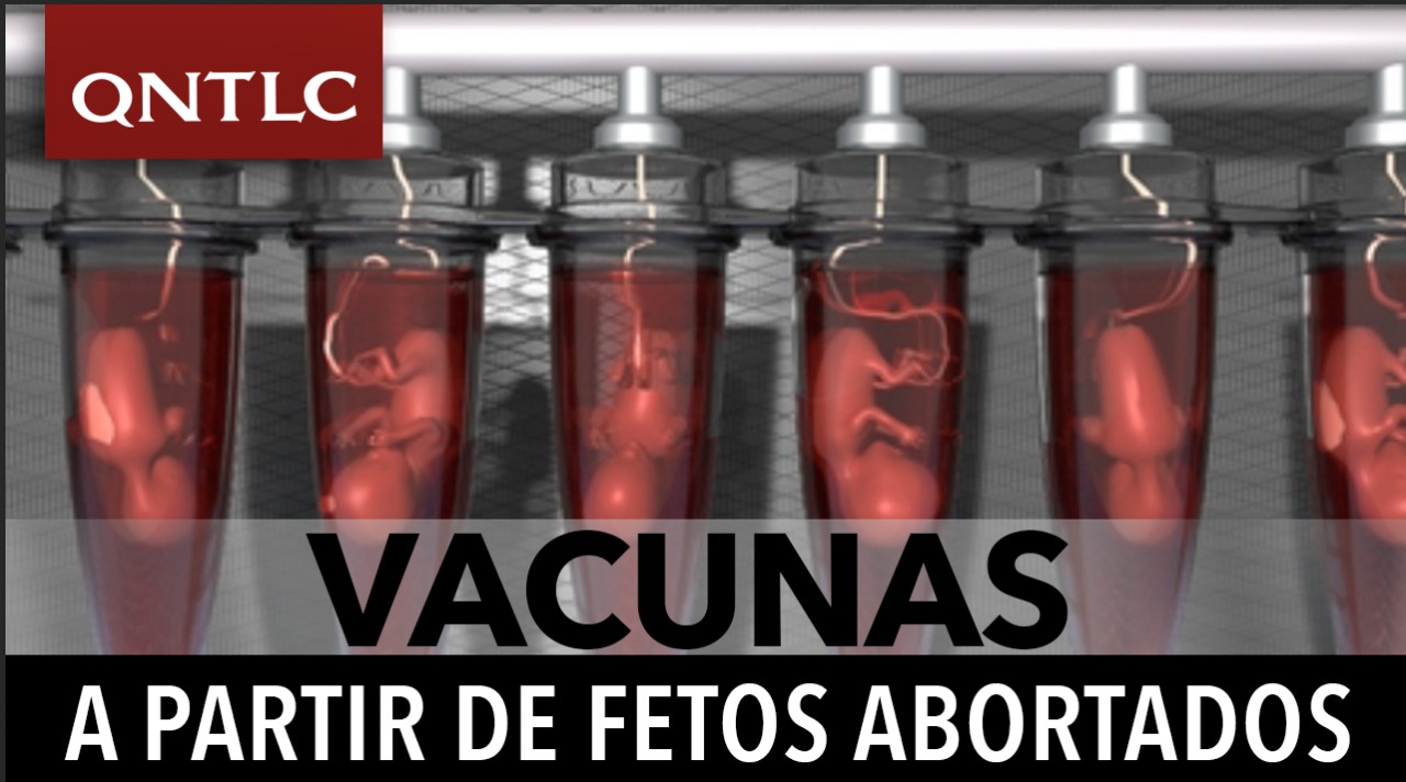 Vacunas con fetos abortados. ¿Es lícito usarlas?