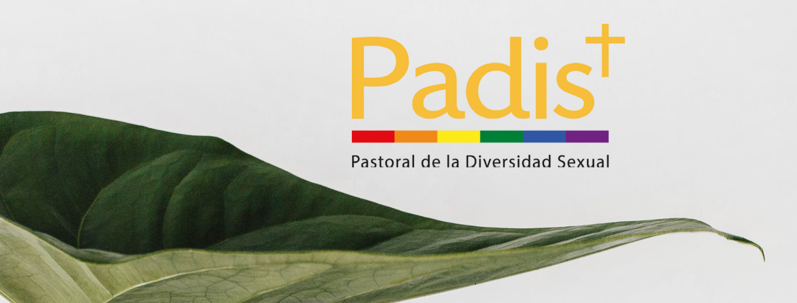 Brevísima relación de la homo-herejía en Chile. El caso de PADIS+