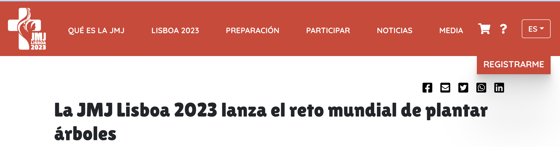 Bienaventurados los que plantan un árbol, porque ellos irán a las JMJ de Lisboa…