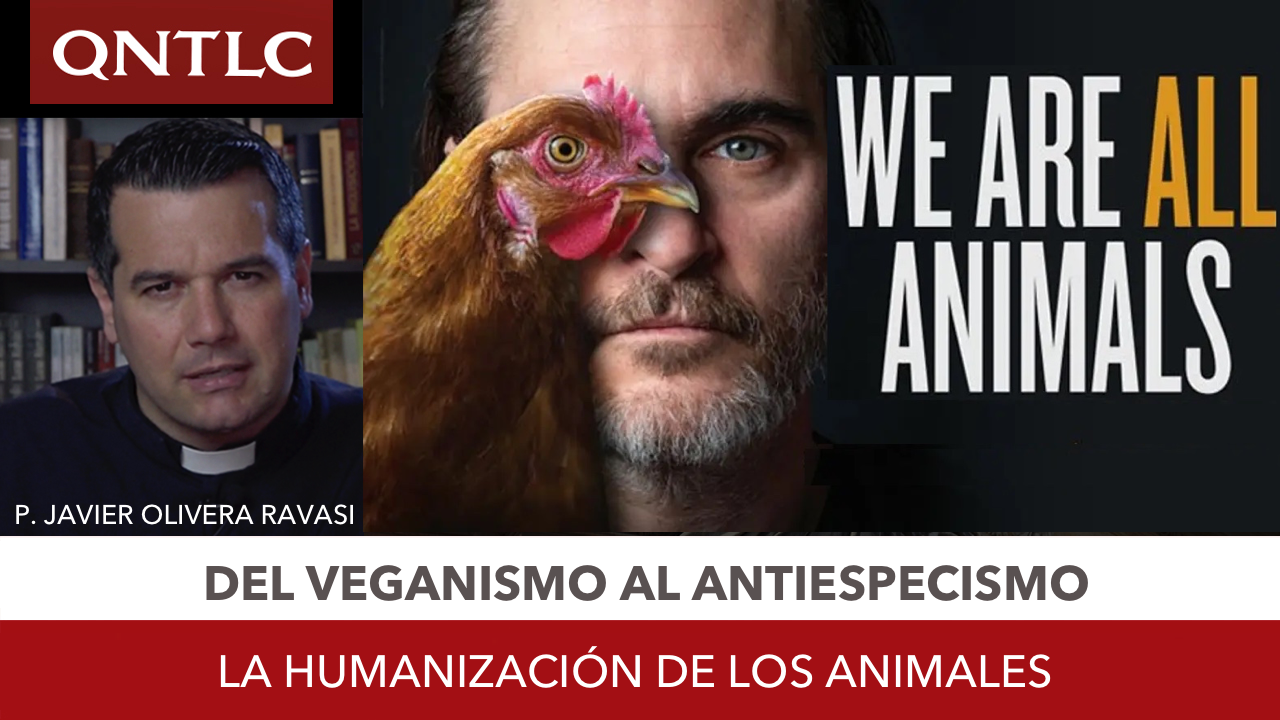 Animalización del hombre y humanización de los animales y mascotas: el anti-especismo