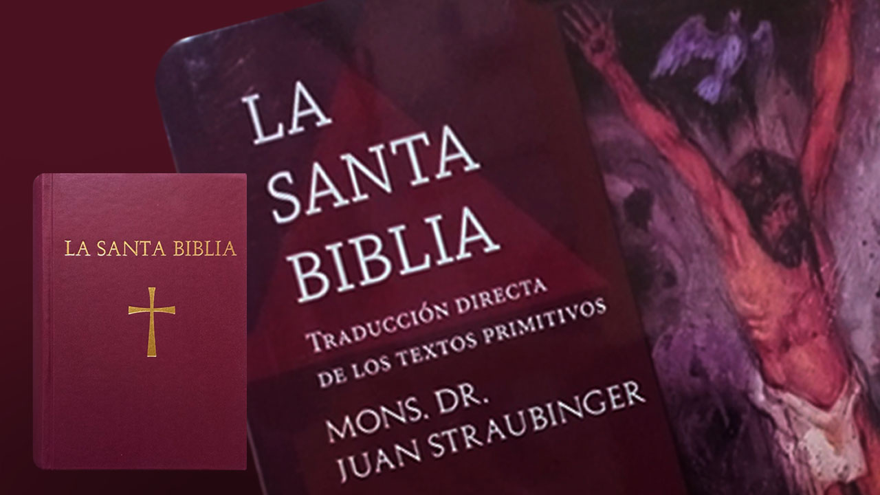Leído para Ud. Una nueva edición de la Biblia de Straubinger