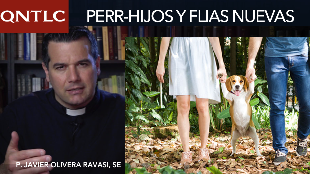 Perrhijos y familias multiespecie