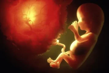La animación retardada según Santo Tomás de Aquino y el tema del aborto. Respuesta a una consulta